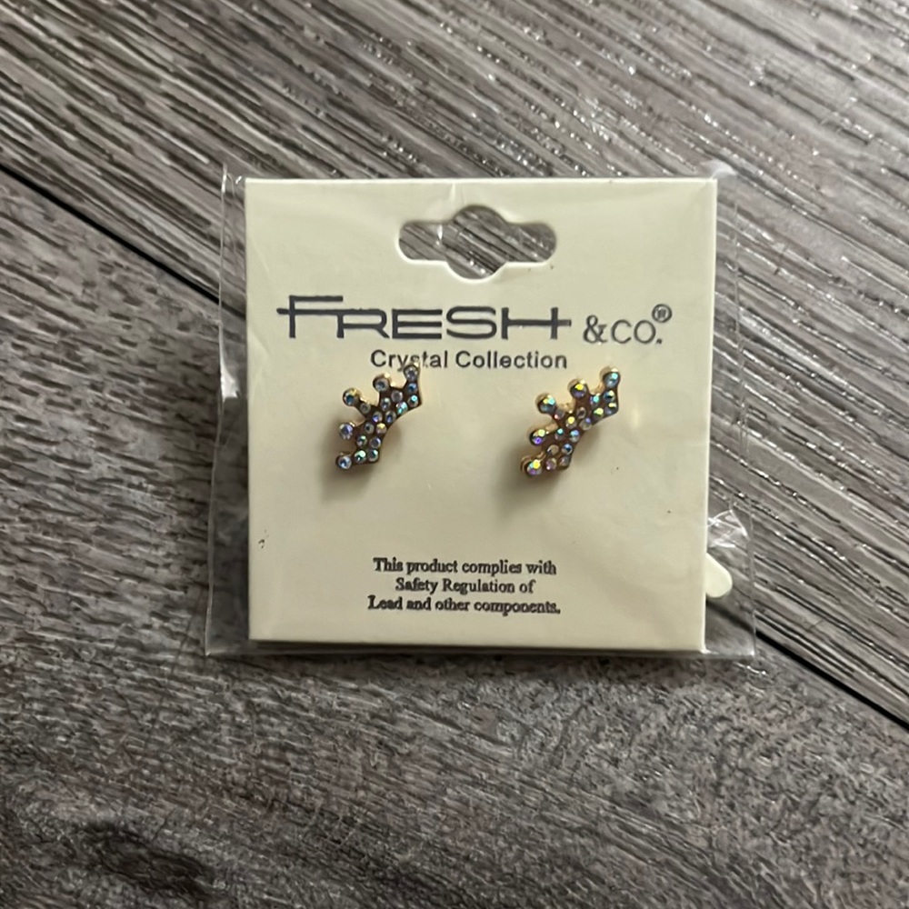 Princess / crown 👑 earrings